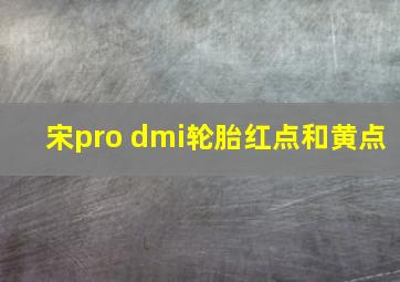 宋pro dmi轮胎红点和黄点